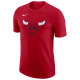 Nike Ανδρική κοντομάνικη μπλούζα Chicago Bulls M NK ES Logo SS Tee